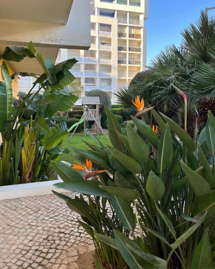 Apartment Tres Palmeiras With Pool
